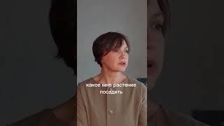Какой многолетник посадить, чтобы замаскировать огород. Подробно в комментарии⬇️ #огород