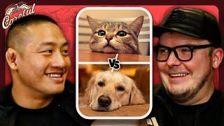 Cats vs. Dogs: The Revenge