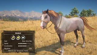 All 5 Rare Arabian Horse Location & Rankings - RDR2