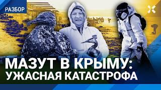 Мазут доплыл до Крыма. Ужасные последствия экологической катастрофы в Черном море