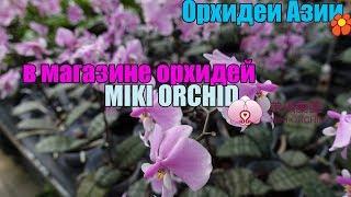 Магазин от  Miki Orchid в Тайвани