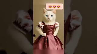 Majestic White Cat with Blue Eyes | Full Body Portrait | Realistic Pet Art