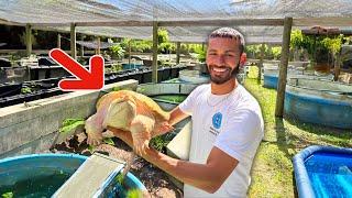 RAREST TURTLE Collection In The WORLD!! *You Won't Believe It*