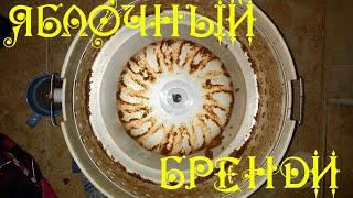 Яблочный бренди (Кальвадос)