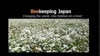 100K Beekeeping Intiatives Worldwide - Changing the world. One beehive at a time!