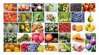 100+ Names of Fruits in English | Fruits Name English Learning | Popular Fruits of the World