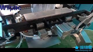 Ice Cube Bag Packaging Machine from Wilpac