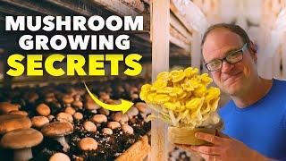 Mushroom Growing Masterclass: Inside the Mushroom Farm