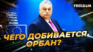 Поддерживает ПРОРОССИЙСКИЕ решения: ОРБАН заинтересован в КАПИТУЛЯЦИИ Украины