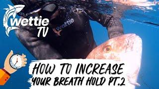 Wettie TV - Increase Breath-Hold and Depth while Spearfishing PART 2