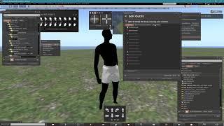 Second Life - Bakes On Mesh (BOM)