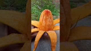 Easy way to cut a mango #shorts#mango#flower