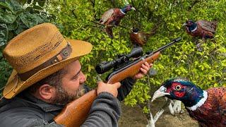 Pheasant Hunting and Cooking The Best Bird Meat! A Delicate and Very Tasty Dish