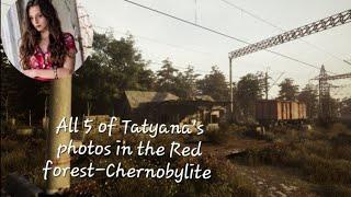 All 5 Red forest Locations of Tatyanas photos-Chernobylite️