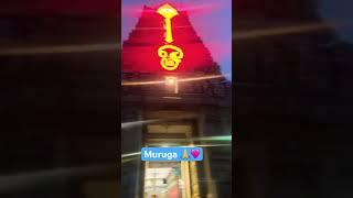 Marudhamalai Muruga Sharanam 🩷 #murugan #murugantemple #omsaravanabhava #bhakti