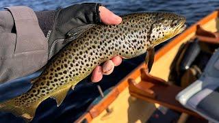 Epic Brown Trout Trolling in Ireland | Best Tips & Techniques for Success