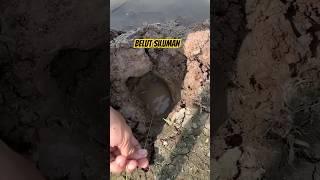 Ghost Eel #fishing #pusanggala #fishing #fish #adventurer #fishingmania #adventure