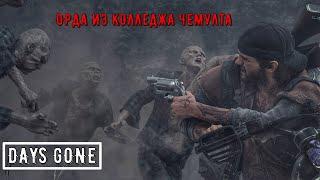 ОРДА ИЗ КОЛЛЕДЖА ЧЕМУЛТА #DAYSGONE