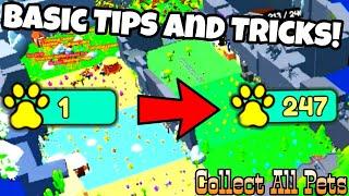 BASIC TIPS AND TRICK FOR COLLECT ALL PETS!  | Roblox Collect All Pets!