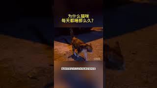 为什么猫咪每天都睡那么久？#科普 #科学 #宠物 #猫咪 #猫 #养猫