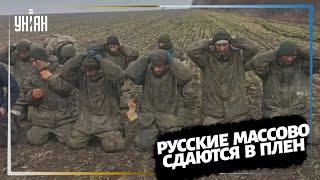 Русские солдаты массово сдаются в плен под Николаевом