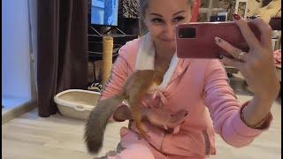 Белка- это очень щекотно!!!  Squirrel - very ticklish