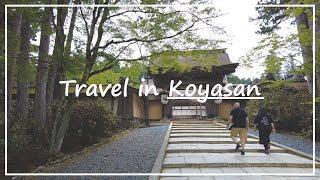 【Japan Walk】A Sacred Shingon Buddhist Temple Complex | Koyasan in Wakayama