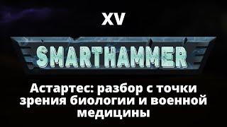 #15 SMARTHAMMER — Суперсолдаты Астартес – разбор с точки зрения биологии и военной медицины