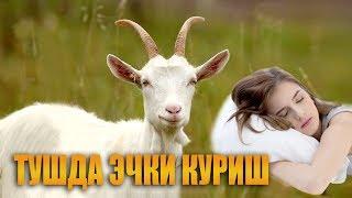 Туш табири - Тушда эчки куриш