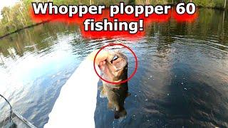 Whopper plopper 60 bass fishing! Top water bass fishing!