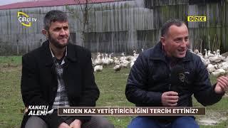 Kaz Yetiştiriciliği ve Önemli Noktaları / KANATLI ALEMİ - Çiftçi TV