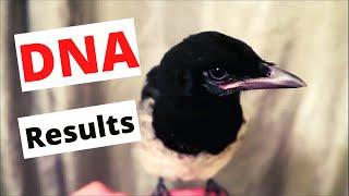 The DNA results are in for Spice