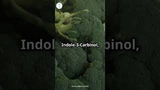 Indole-3-Carbinol: Natural Defense Against Breast & Prostate Cancer  | Cancer | Prostate | Indole