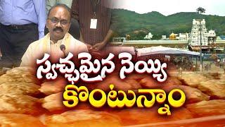 Tirumala Laddu is Now Adulteration Free | EO Syamala Rao | శ్రీవారి లడ్డూ కోసం మంచి నెయ్యి కొనుగోలు