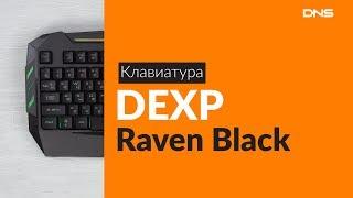 Распаковка клавиатуры DEXP Raven Black / Unboxing DEXP Raven Black