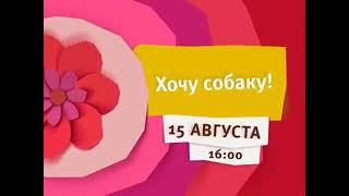 Карусель Оформление канала (08.2015)