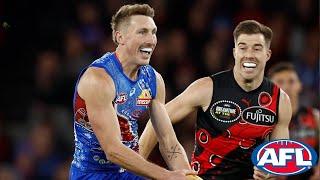 Bailey Dale Round 10 2025 AFL Highlights: 49 Disposals