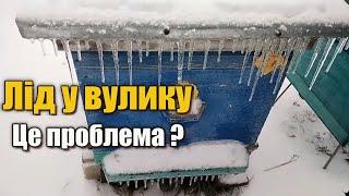 Лід у вулику взимку. Промерзання стінки вулика