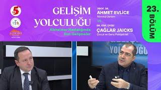 Alzheimer Hastalığında Son Gelişmeler