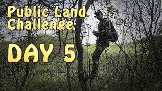 Public Land Challenge Day 5 - DIY Sportsman