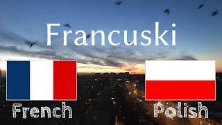 Ucz się przed pójściem spać - Francuski (Native Speaker)  - bez muzyki