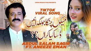 Meikon Changa Jo Lagdain Dasa Kiya Karan | Singer Abdul Salam Sagir | New Sareki & Panjabi Song 2024