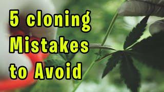 5 Mistakes You Should Avoid When Cloning