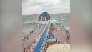 Oil coats Russia's Black Sea coast as three ships suffer storm damage | REUTERS