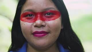 United Nations and EcoMatcher forged an alliance for planting trees in the Ecuadorian Amazon