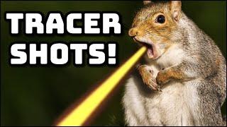 26 Crazy Headshots!! (Squirrels)