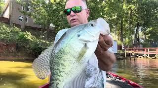 It’s Feeding Time - Crappie Fishing