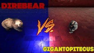 Битва в АРК| Гигантопитек против Свирепого медведя| Gigantopitecus vs DireBear