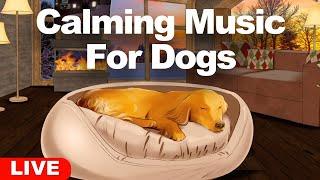 24HR Calming Music For Dogs 