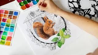 Белка акварелью